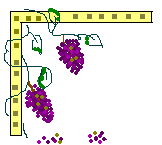 Grape Border